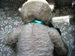 two bears main_07
